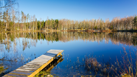 The Best Fish to Catch This Spring