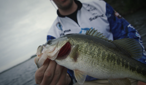 How to Decide the Best Time to Go Fishing