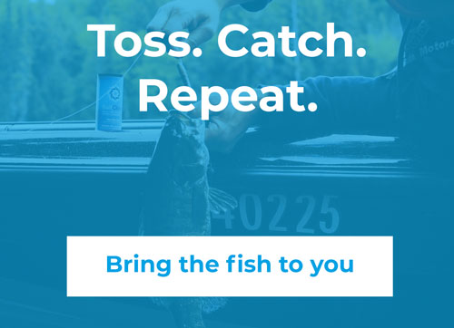 Toss, Catch, Repeat, bring the fish to you.